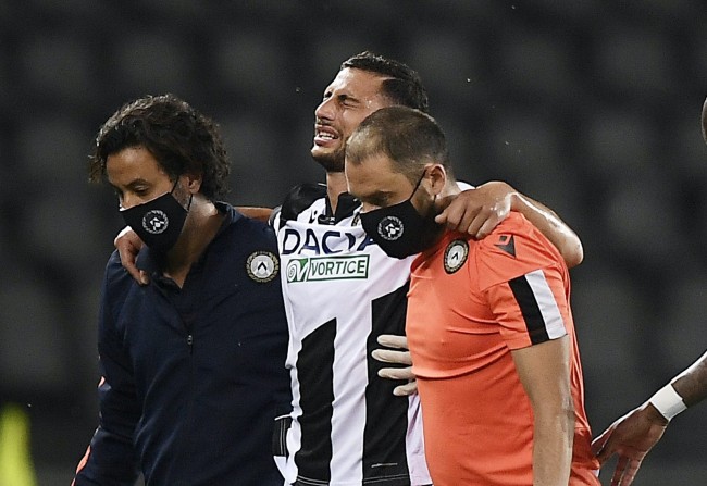 在经过数周 在经过数周