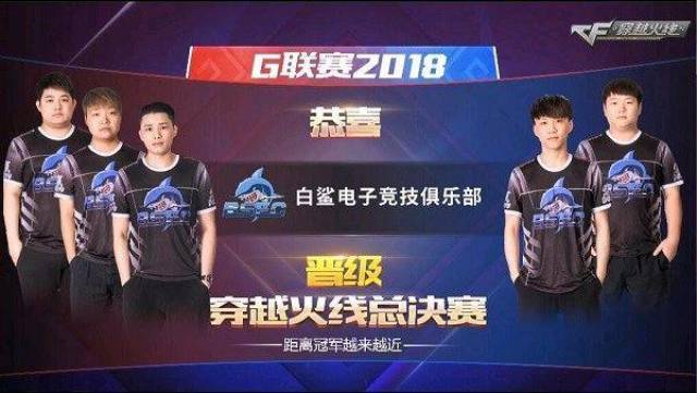 迎的篮球俱 迎的篮球俱